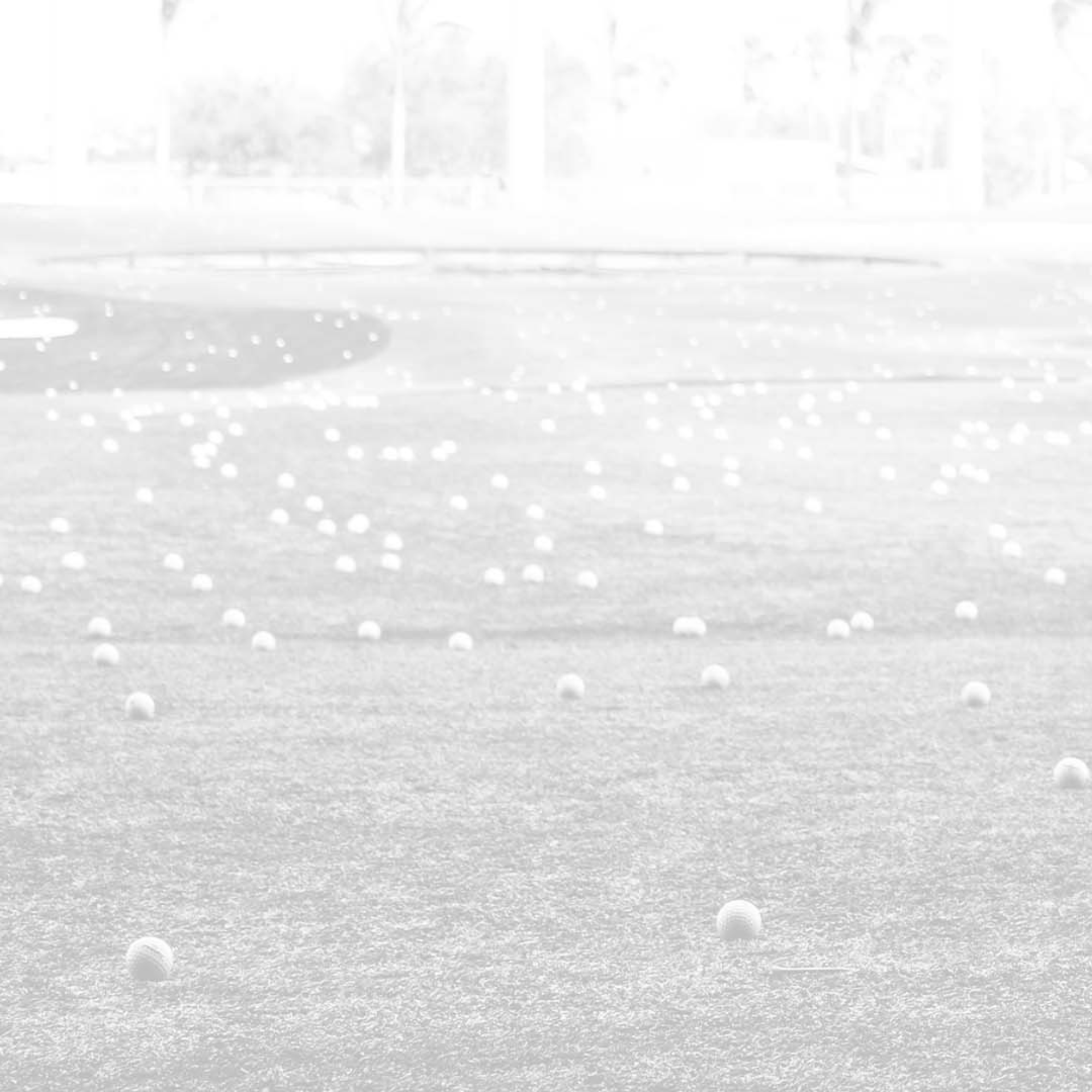 Driving range with Balls